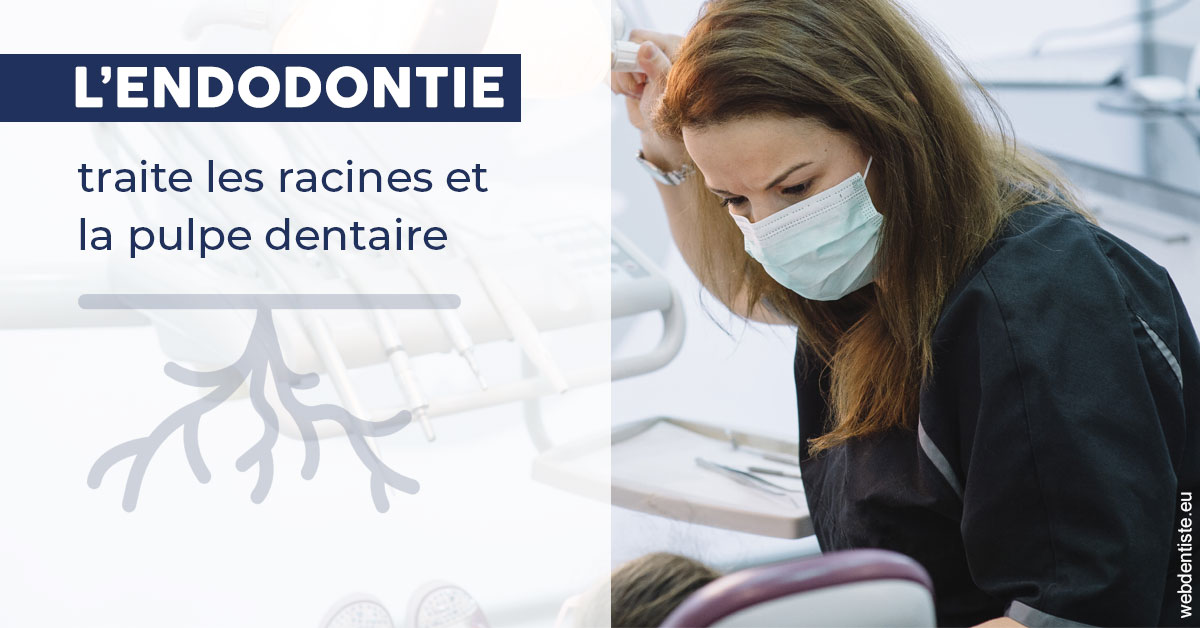 https://dr-charles-amelie.chirurgiens-dentistes.fr/L'endodontie 1