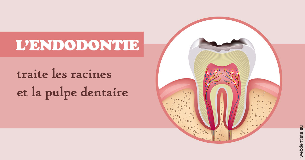 https://dr-charles-amelie.chirurgiens-dentistes.fr/L'endodontie 2